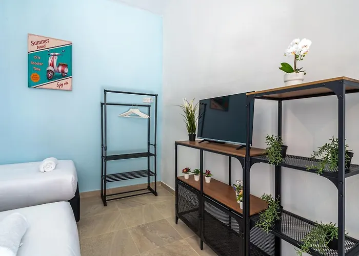 Simba In W/ Terrace * 라르나카